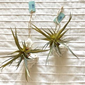 Seaport set of 2 Hanging Succulent Wall Decor